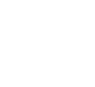 location-advantage-icon